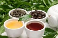 红茶与绿茶：一场口感的对决，你站在哪一边？