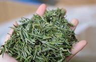 黄山毛峰茶的成本揭秘：一斤茶叶到底值多少钱？