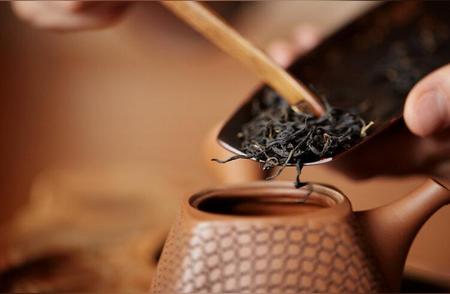 熟茶真的含有五亿霉菌，饮用是否安全？